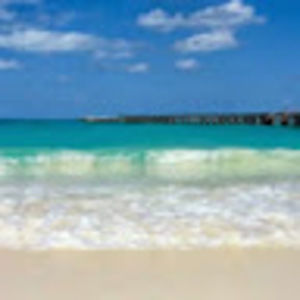 Meet your Posher, Rosa